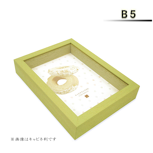 アートボックスフレーム<パステルグリーン>B5