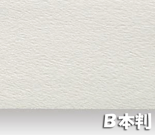 シリウス水彩画紙(特厚口・220g)B本判:5枚