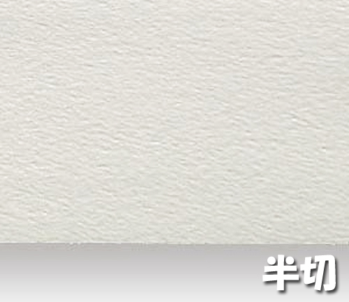 シリウス水彩画紙(特厚口・220g)B本判半切:10枚