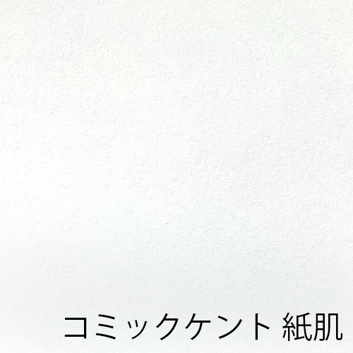 大量の色紙 色紙額 K-80 普通色紙サイズ（272×242mm）専用 紺/エンジ/ベージュ