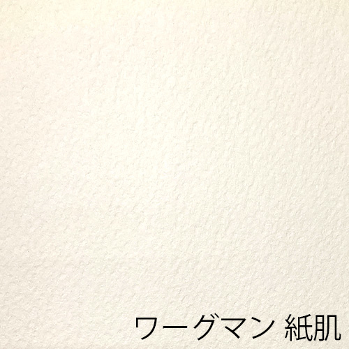 オリオン】オリオン ワーグマン ブック350（天のり）の通販|スケッチ