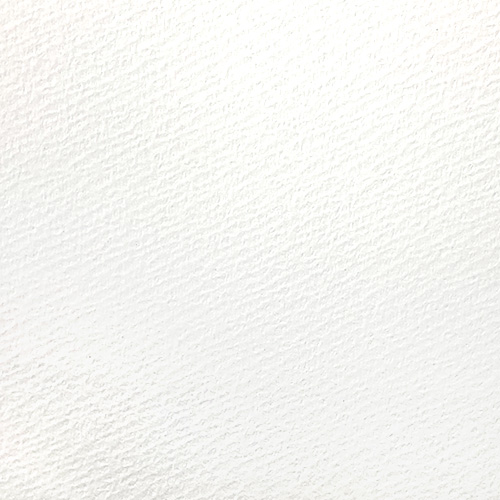 オリーブブック 紙肌