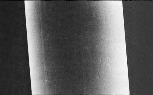 従来のナイロン毛の表面