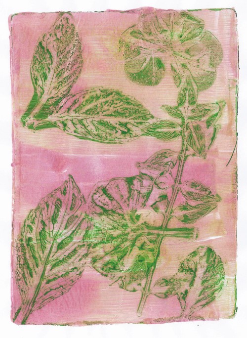 植物の葉を転写した作品