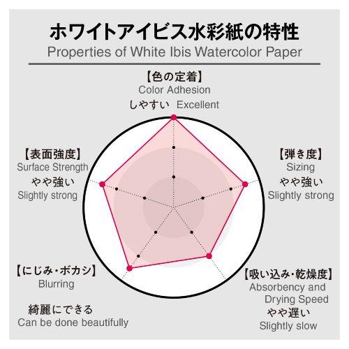 ホワイトアイビス水彩紙の特性グラフ