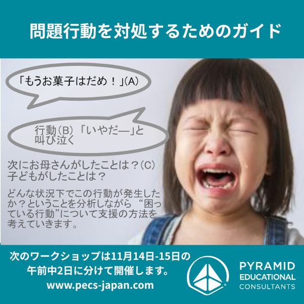 学校、自宅での問題行動を対処するためのガイド_午前中2日間 オンラインにて開催