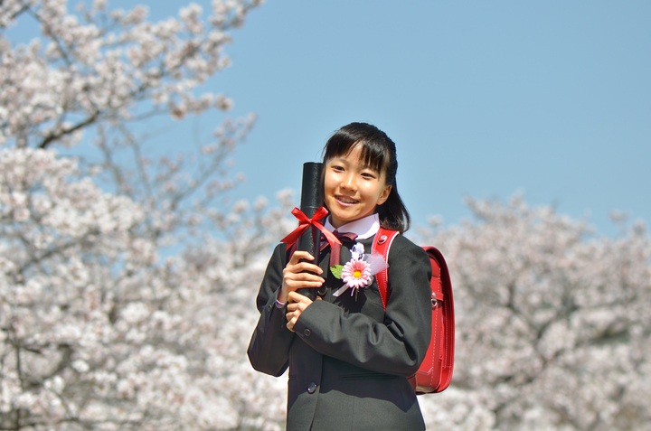 「アルバムって他の学校はどんな内容なの？」「うちの学校のアルバム料金って適正なの？」そんな疑問にNG無しでお答えします！