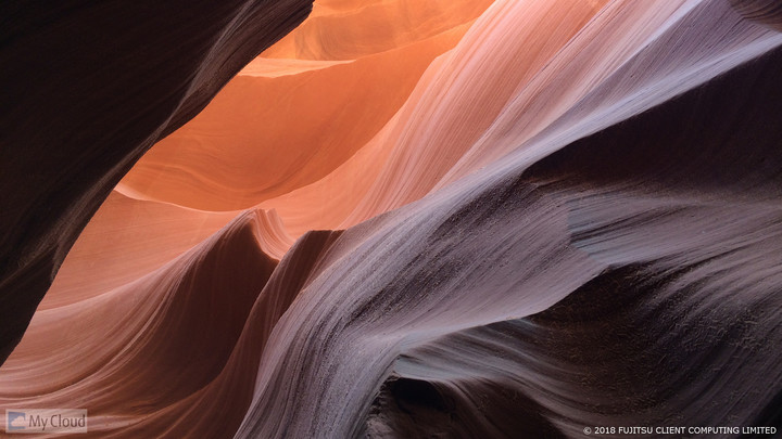 実用英語教育学会第15回研究大会・総会 （Zoomによるオンライン）