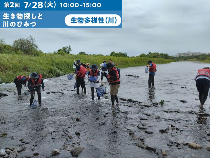 参加費無料！教員向け環境教育研修会　第２回「生き物探しと川のひみつ」