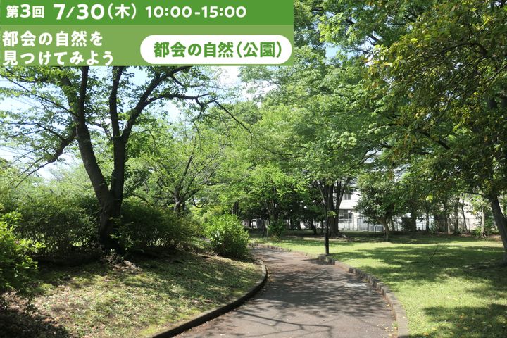 参加費無料！教員向け環境教育研修会　第3回「都会の自然を見つけてみよう」