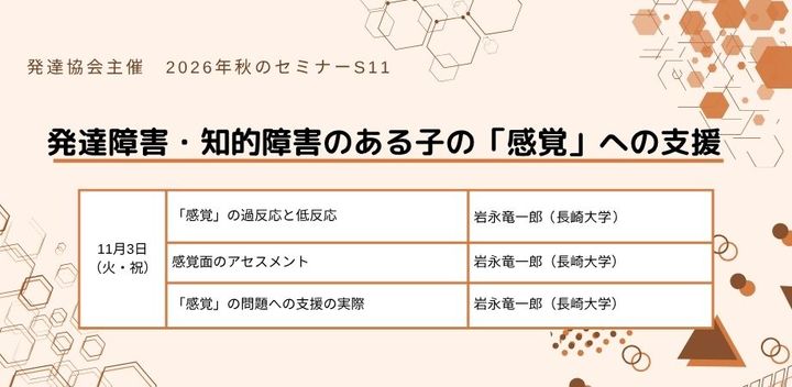 発達協会セミナー【S11　発達障害・知的障害のある子の「感覚」への支援】発達障害・知的障害のある子の指導・支援に役立つ研修会