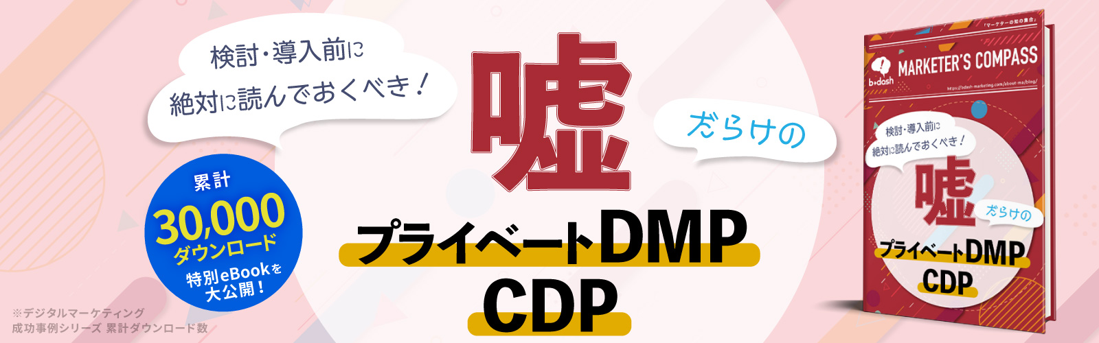 嘘だらけのプライベートDMP