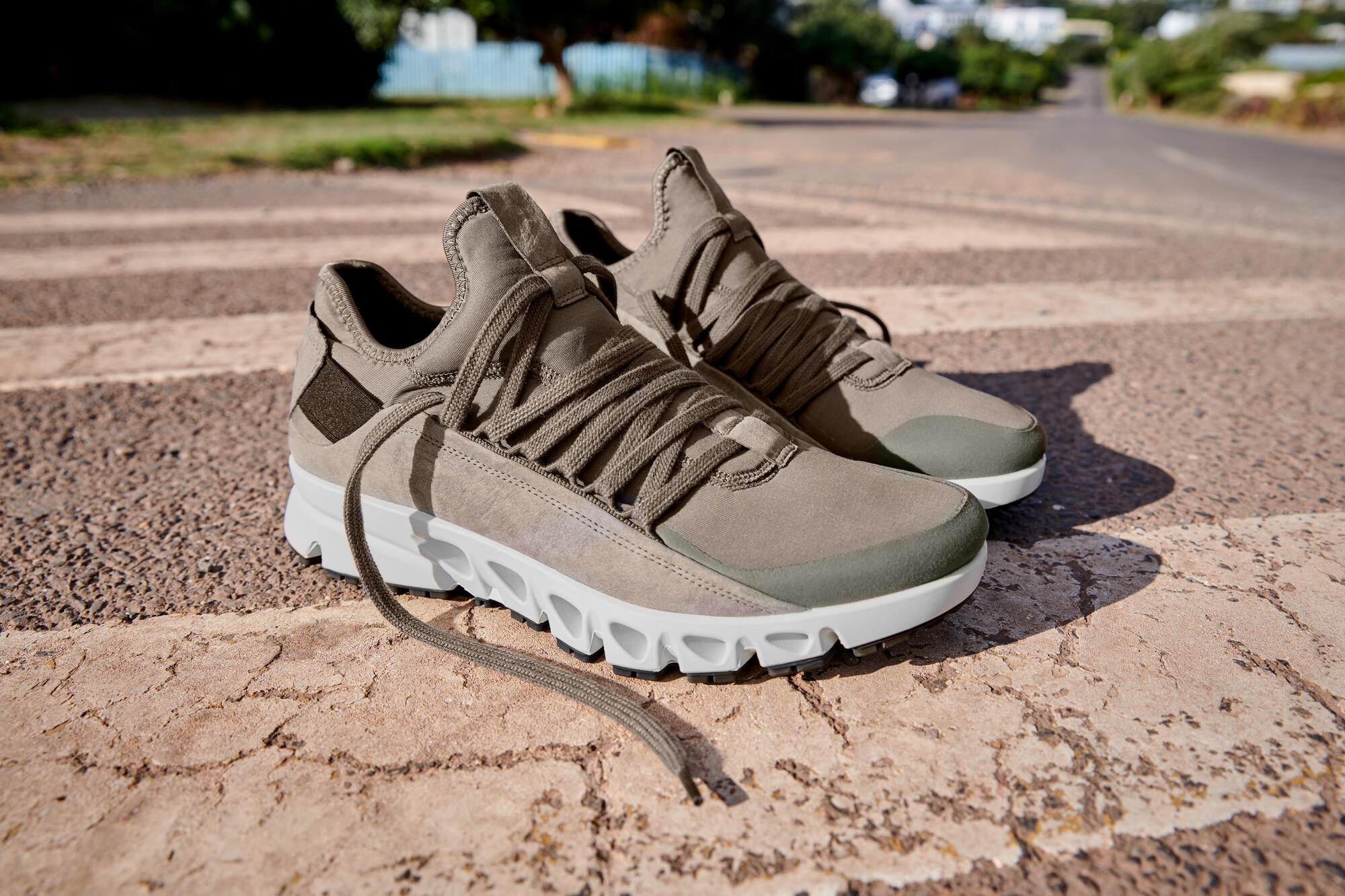 ecco multi vent