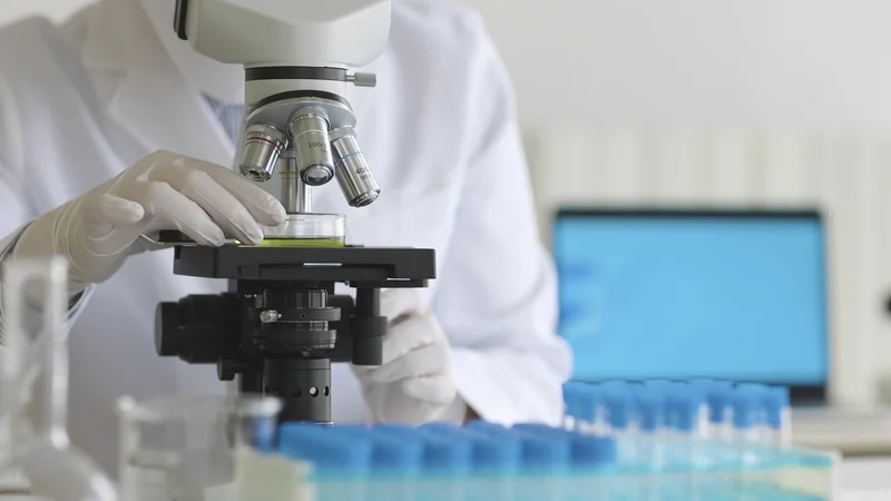 大学生のうちにやるべきこと（研究）