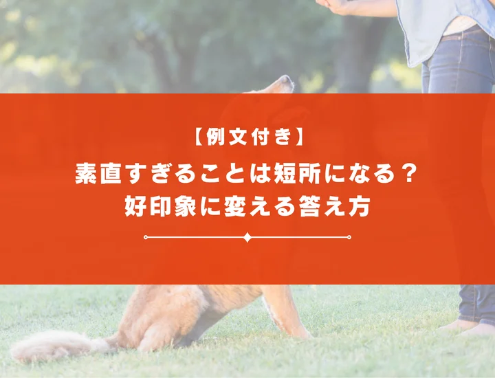 【例文アリ】素直すぎることは短所になる？面接官が気にするポイントと好印象に変える答え方