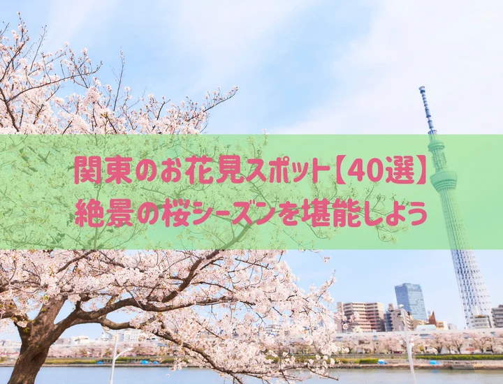 関東のお花見スポット【40選】絶景の桜シーズンを堪能しよう