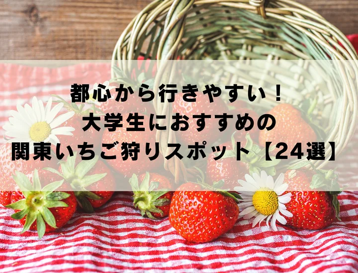 都心から行きやすい！大学生におすすめの関東いちご狩りスポット【24選】