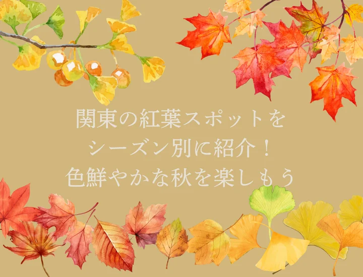 関東の紅葉スポットをシーズン別に紹介！色鮮やかな秋を楽しもう