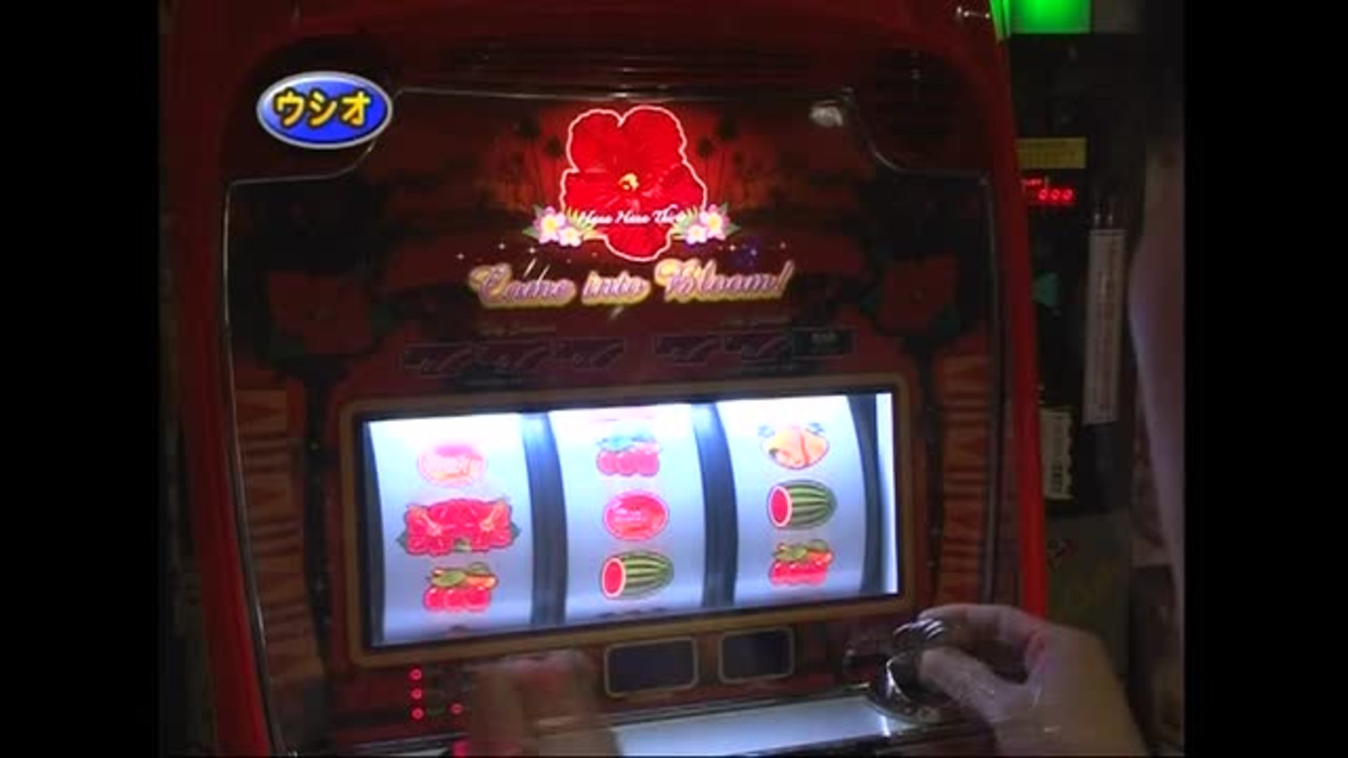 305 第12シーズンbグループ5回戦 ウシオ Vsララ 前半戦 パチンコ動画 パチスロ動画ならサイトセブンtv Premium