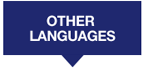 OTHER LANGUAGE