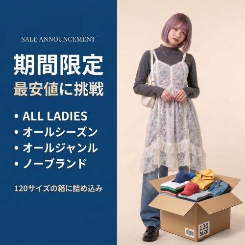注目のセットはコレだ! 】 まとめ売り レディースのみ 120ダンボール1