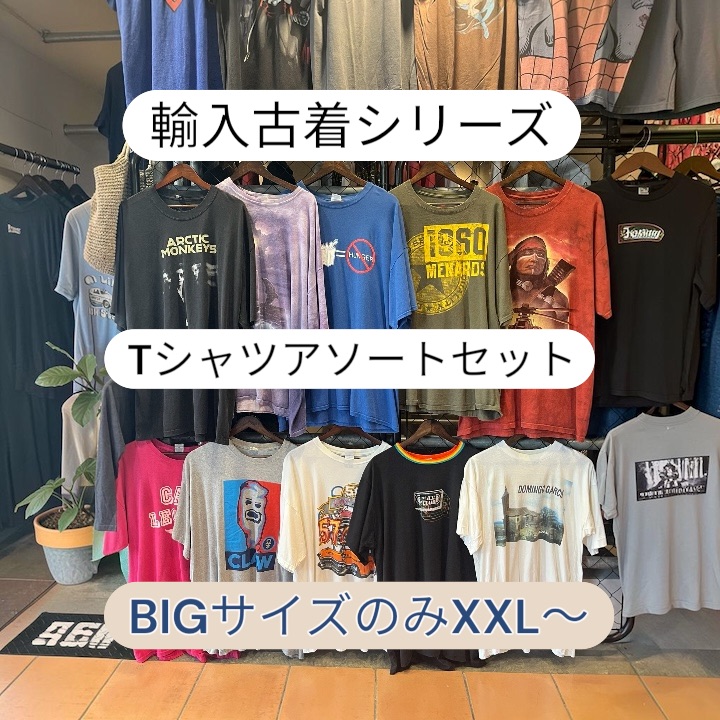 ビッグサイズ XXL以上の Tシャツ アメリカの倉庫で日本人スタッフが 