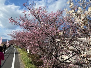 スマイルホテル静岡吉田インター 公式 スマイルホテル静岡吉田インター 公式