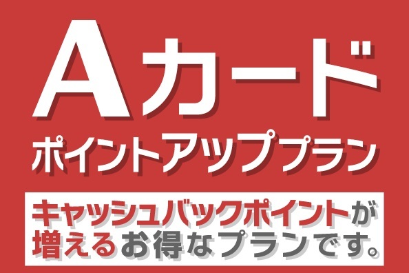 【ポイント貯めて賢くステイ♪】Aカード会員限定!20%付与ポイントUPプラン(素泊まり) 画像その1