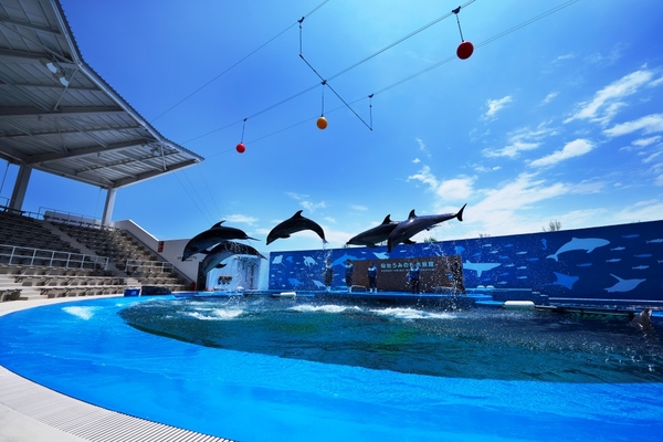 【朝食付】☆仙台うみの杜水族館★入館引換券付プラン♪(大人2名・小学生1名・幼児1名) 画像その2
