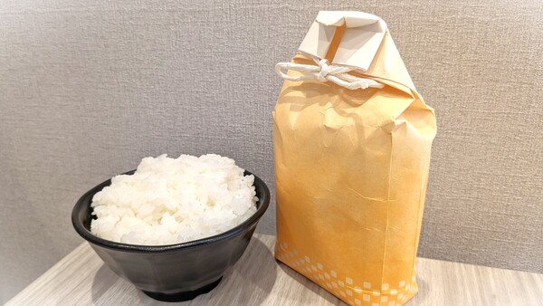 【石川応援消費】★石川県産こしひかり3合★が入った小袋特典付き!お米を食べて石川を応援しよう!(素泊まり) 画像その1