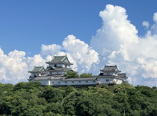 【城側確約!公式サイト限定】お部屋から和歌山城展望プラン(朝食付) 画像その1