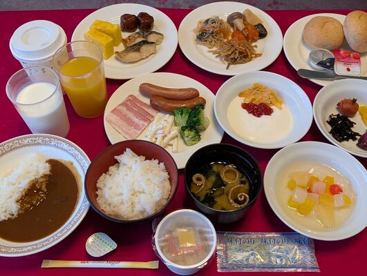 【暑さOKな方限定】エアコン故障部屋・お値打ちステイ(朝食付き) 画像その3