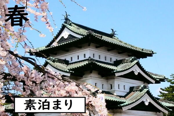 ［素泊まり］期間限定！スーパースペシャルSPRINGプラン  画像その1