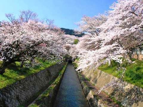 琵琶湖疏水