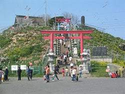 天然記念物・蕪島