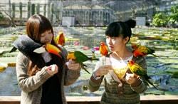 掛川花鳥園