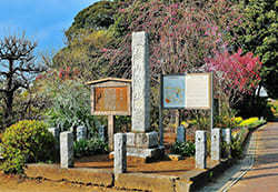赤山城跡