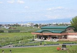 りんご公園