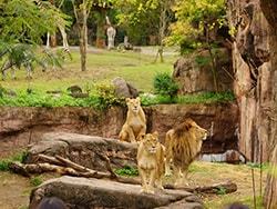 天王寺動物園