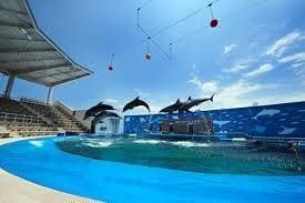 うみの杜水族館