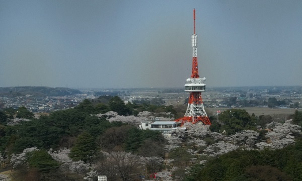八幡山公園