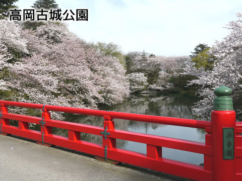 高岡古城公園