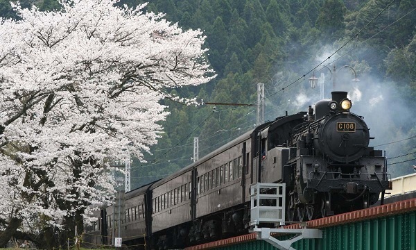 大井川鐵道(新金谷駅SLセンター)