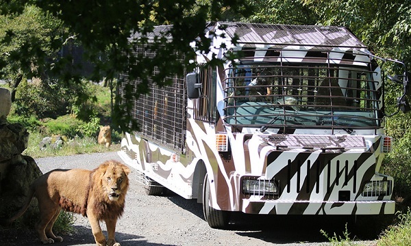 富士サファリパーク