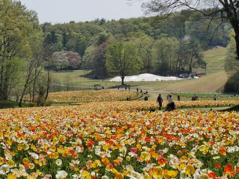 国営武蔵丘陵森林公園
