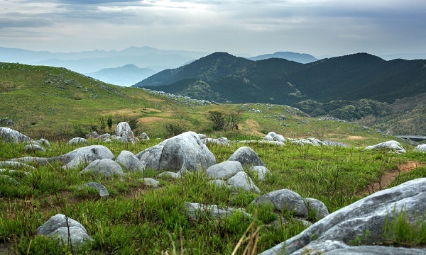 平尾台