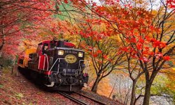嵯峨野トロッコ列車