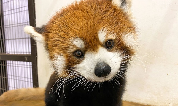 天王寺動物園