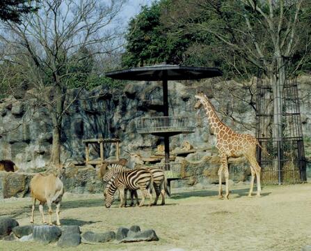 愛媛県立とべ動物園