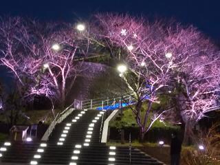 牛岐城趾公園